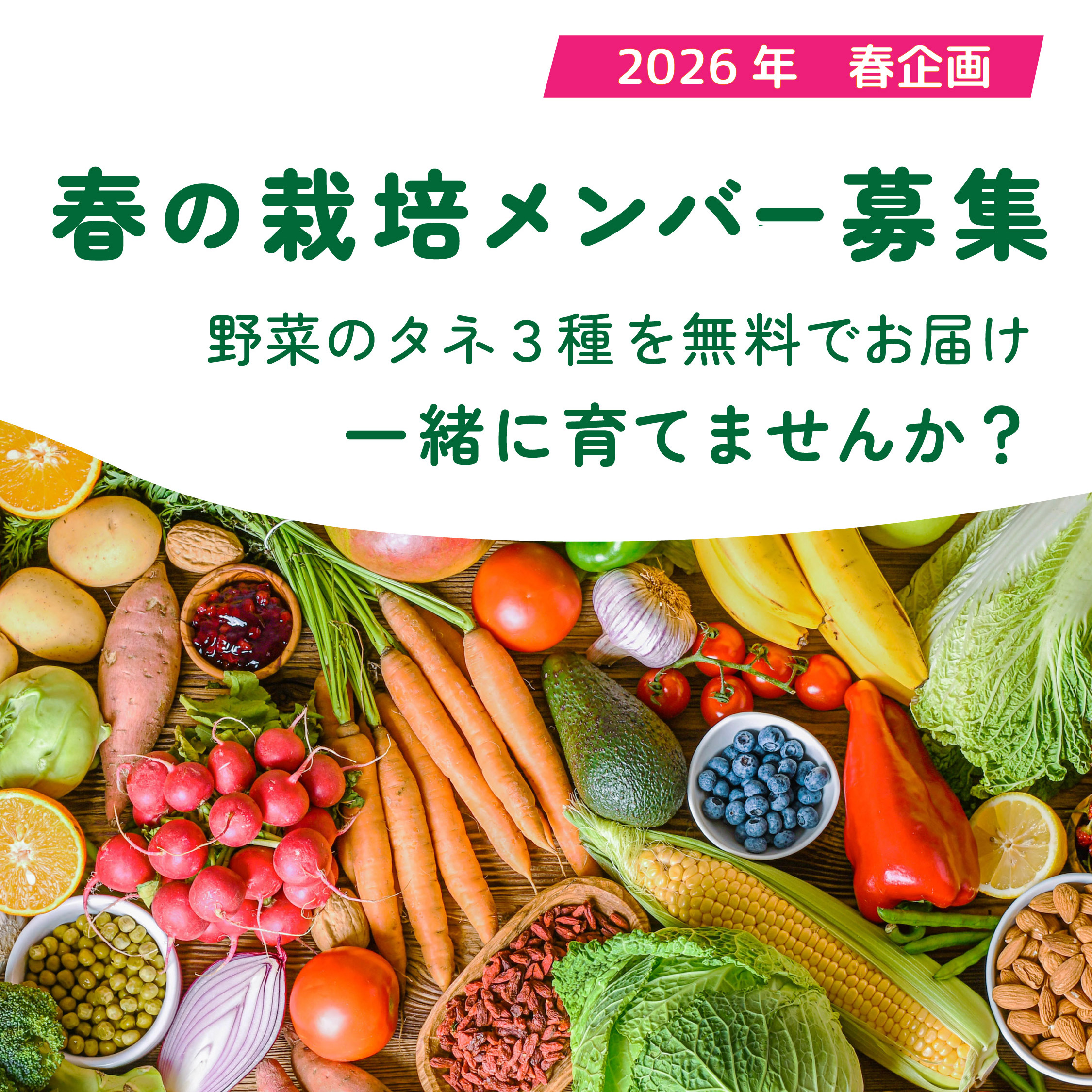 野菜を選んで育てよう！野菜遺産コミュニティで栽培企画の参加者募集中♪の写真